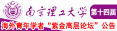 黑逼豐滿南京理工大学第十四届海外青年学者紫金论坛诚邀海内外英才！